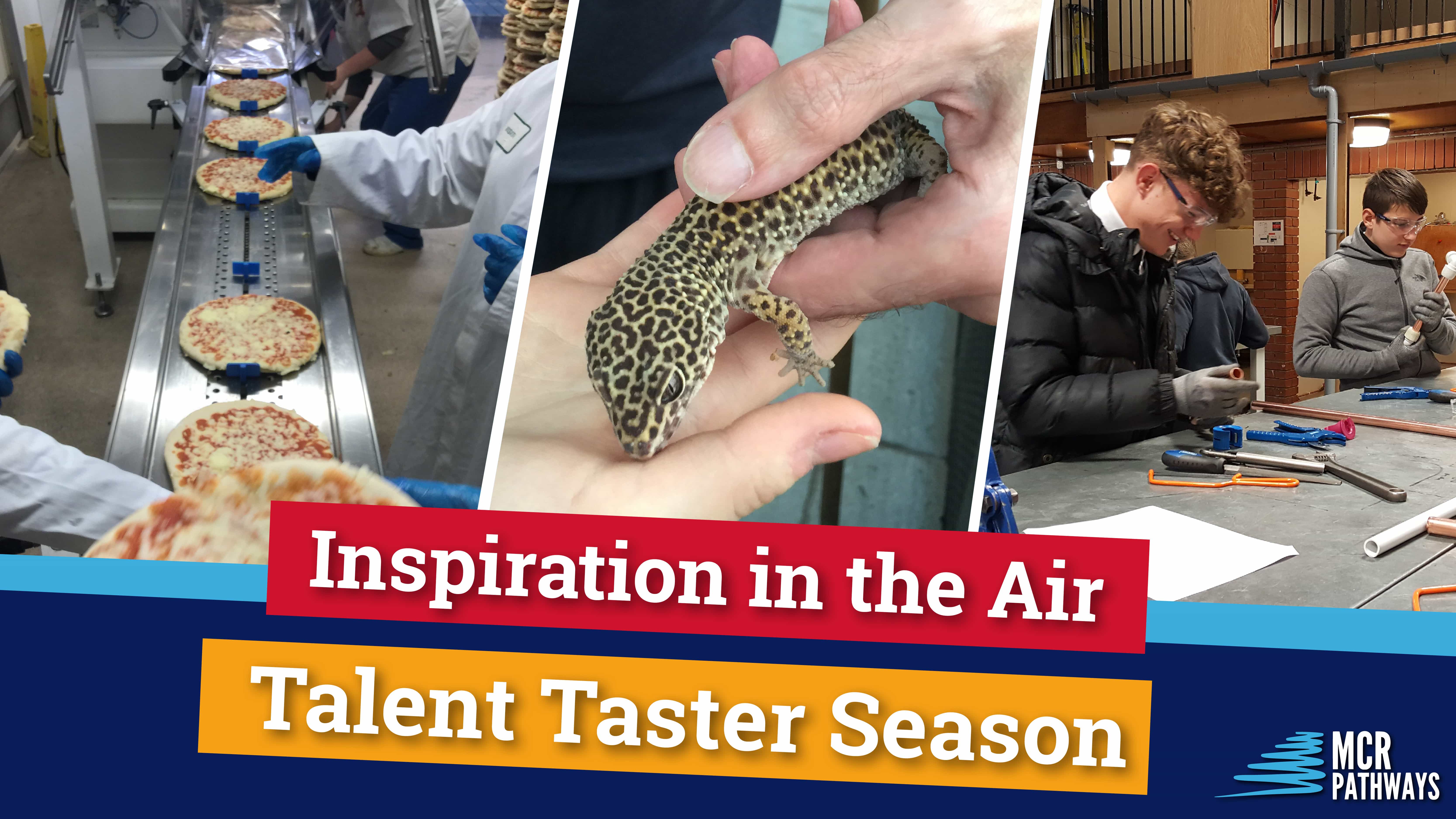 Talent Taster blog header